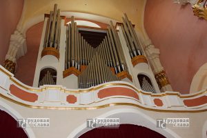 IMG_1249