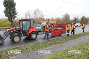 IMG_1385