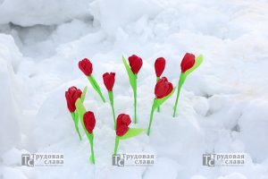 IMG_0726