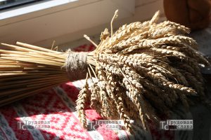 IMG_5788