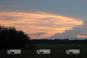 IMG_3652