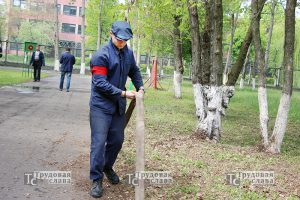 IMG_0969