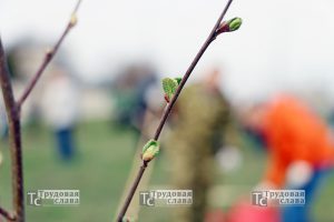 IMG_8808