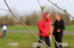 IMG_8911