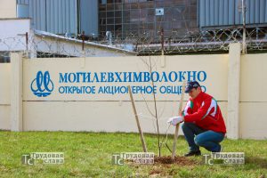 IMG_8944