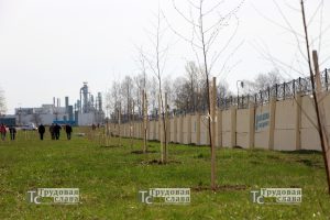 IMG_8969