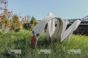 IMG_7354