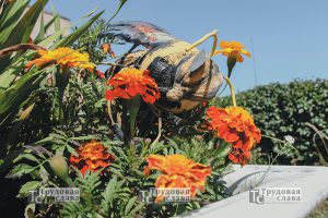 IMG_7381