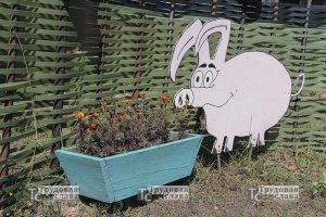 IMG_7468