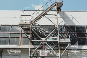 IMG_7517
