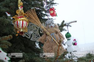 IMG_7662