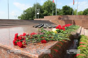 IMG_4831