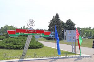 IMG_7004