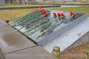 IMG_8802