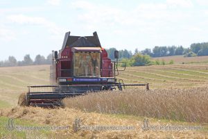 IMG_0250