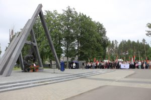 IMG_6847